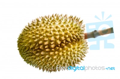 Durian On White Background Stock Photo