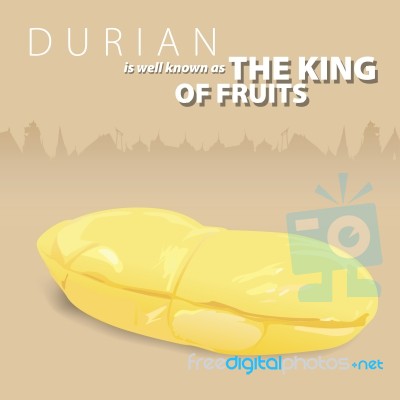 Durian The King Of Thai Fruits Stock Image