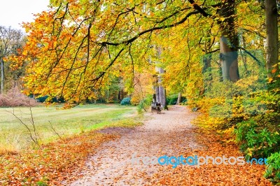 Dutch Autumn Landscape With Footpath And Beech Trees Stock Photo