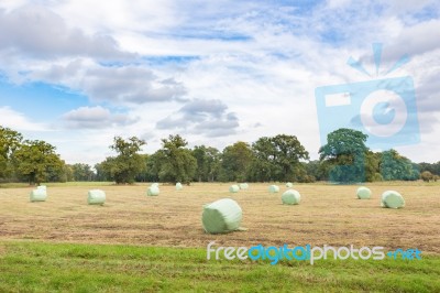 Dutch Fall Landscape With Plasticized Hay Bales Stock Photo