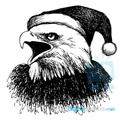 Eagle Bird With Christmas Hat Stock Image