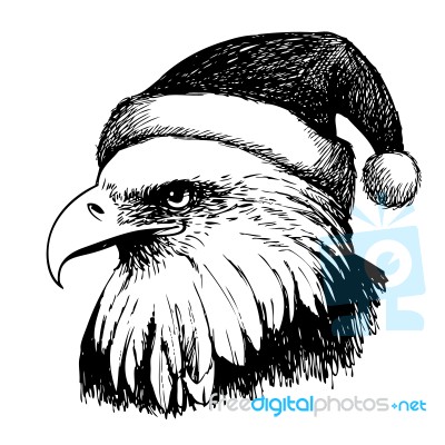 Eagle Bird With Christmas Hat Stock Image