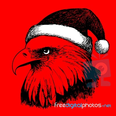 Eagle Bird With Christmas Hat, Doodle Hand Stock Image