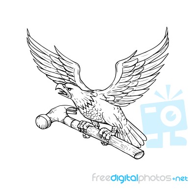 Eagle Clutching Hammer Drawing Stock Image