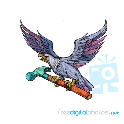 Eagle Clutching Hammer Mandala Stock Image