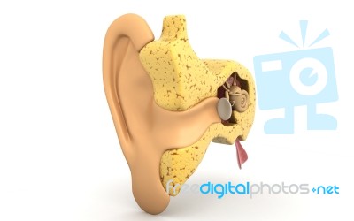 Ear Stock Photo