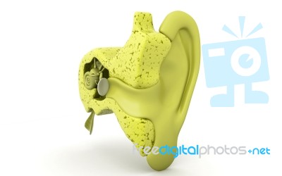 Ear Stock Image