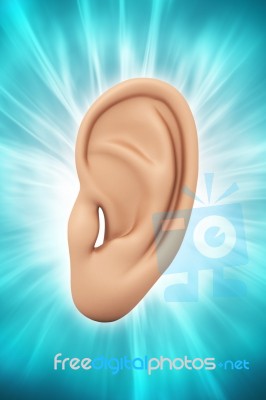 Ear Anatomy Stock Image