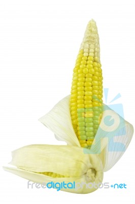 Ear Corn Stock Photo