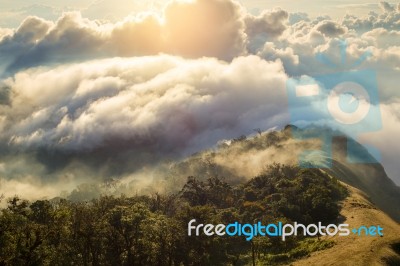 Early Morning Foggy  Sunrise On  Top Of Mountain Soft Focus Grai… Stock Photo