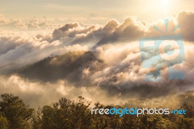 Early Morning Foggy  Sunrise On  Top Of Mountain Soft Focus Grai… Stock Photo