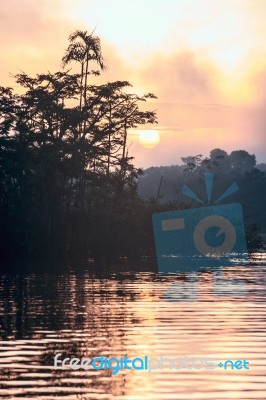 Early Morning In Amazonian Rainforest. Lake Cuyabeno Stock Photo