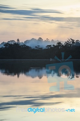 Early Morning In Amazonian Rainforest. Lake Cuyabeno Laguna Gran… Stock Photo