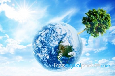 Earth And Tree Stock Image