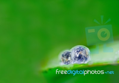 Earth Day Stock Photo