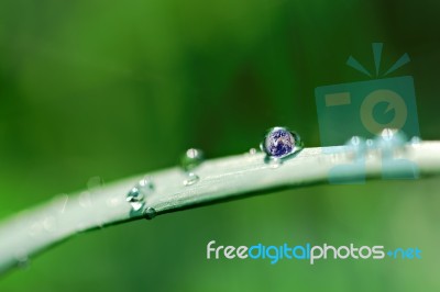 Earth Drop Stock Photo