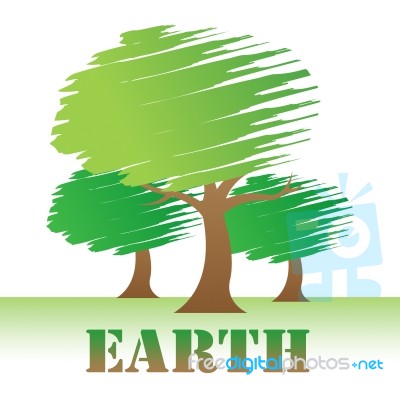 Earth Trees Represents Environment Forest And Nature Stock Image