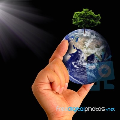 Earth With Tree In Hand Stock Image