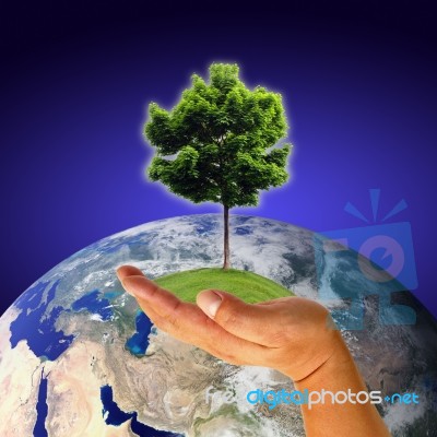 Earth With Tree In Hand Stock Image