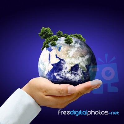 Earth With Tree In Hand Stock Image