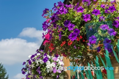 East Grinstead In Bloom Stock Photo