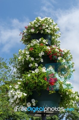 East Grinstead In Bloom Stock Photo