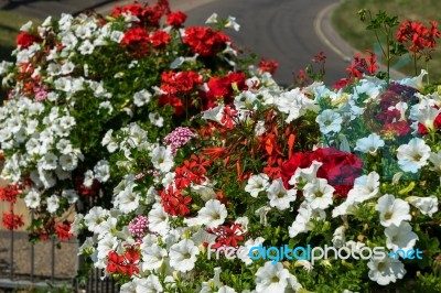 East Grinstead In Bloom Stock Photo