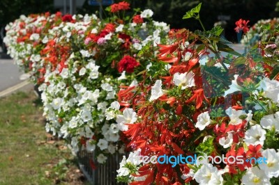 East Grinstead In Bloom Stock Photo