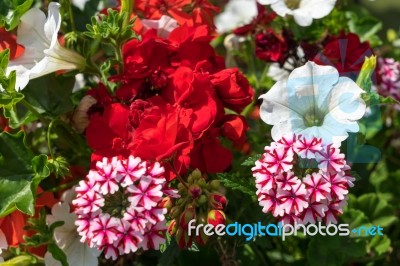 East Grinstead In Bloom Stock Photo