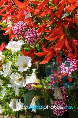 East Grinstead In Bloom Stock Photo