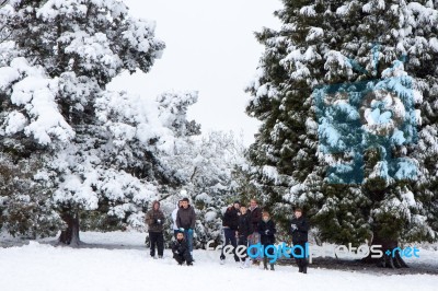 East Grinstead, West Sussex/uk - January 6 : Sledgingin East Gri… Stock Photo