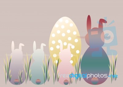 Easter Bunnies Stock Image