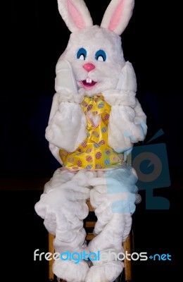 Easter Bunny Stock Photo