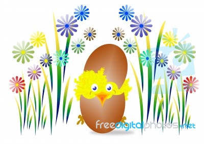 Easter Chick Stock Image