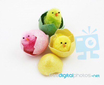 Easter Chicks Stock Photo