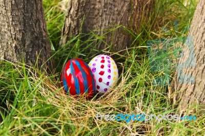 Easter Egg Hunt Stock Photo