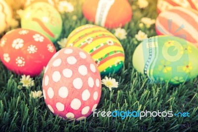 Easter Eggs With Flower On Fresh Green Grass ( Filtered Image Pr… Stock Photo