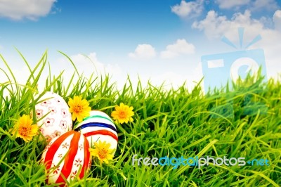 Easter Eggs With Flower On Grass Stock Photo