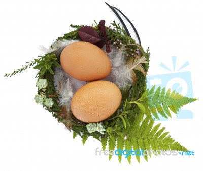 Easter Nest With Two Eggs And Feathers Stock Photo