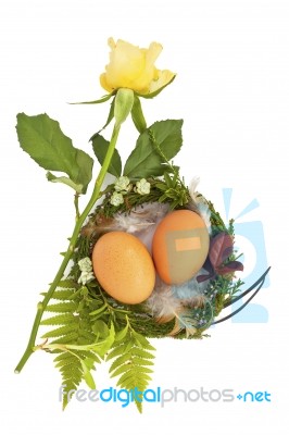 Easter Nest With Twio Eggs And Feathers Stock Photo