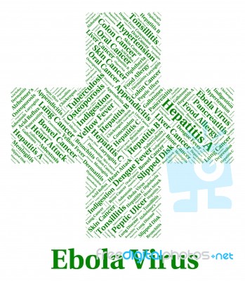 Ebola Virus Shows Infection Germ And Diseases Stock Image