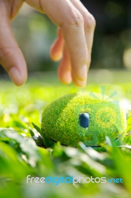 Eco Computer Mouse Concept Stock Photo