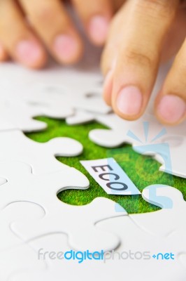 Eco Concept Stock Photo