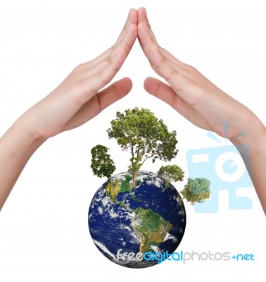 Eco Concept - Earth In Hands Stock Photo