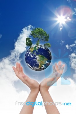 Eco Concept - Earth In Hands  Stock Photo