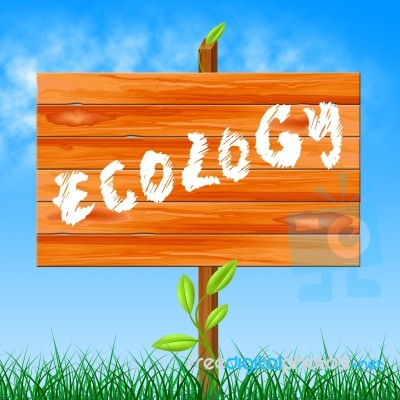 Eco Ecology Represents Earth Friendly And Conservation Stock Image