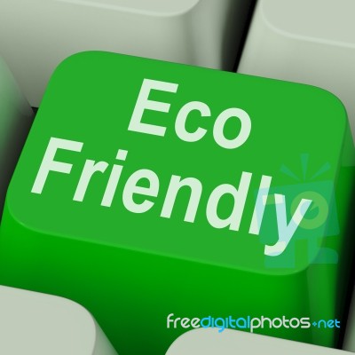 Eco Friendly Key Shows Green And Environmentally Efficient Stock Image