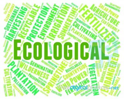 Eco Friendly Represents Ecological Word And Conservation Stock Image