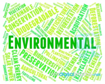 Eco Friendly Shows Environmental Word And Eco-friendly Stock Image