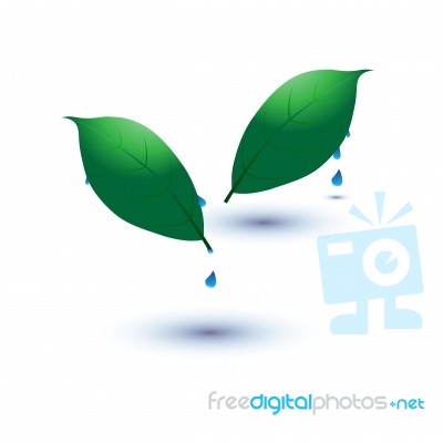 Eco Icon With Green Leaf With Water Drop Stock Image